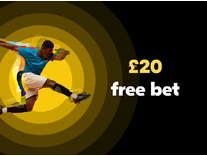 Bwin Welcome Bonus as a £20 Free Bet