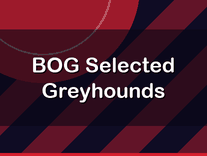 BOG Selected Greyhounds