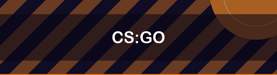 CS:GO
